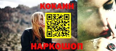 Альфа ПВП Кандалакша