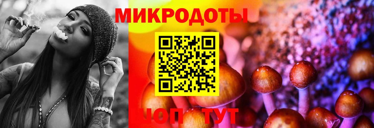 Псилоцибиновые грибы Psilocybine cubensis  закладки  Псилоцибиновые грибы мухоморы  Гусиноозёрск  Вход с VPN 
