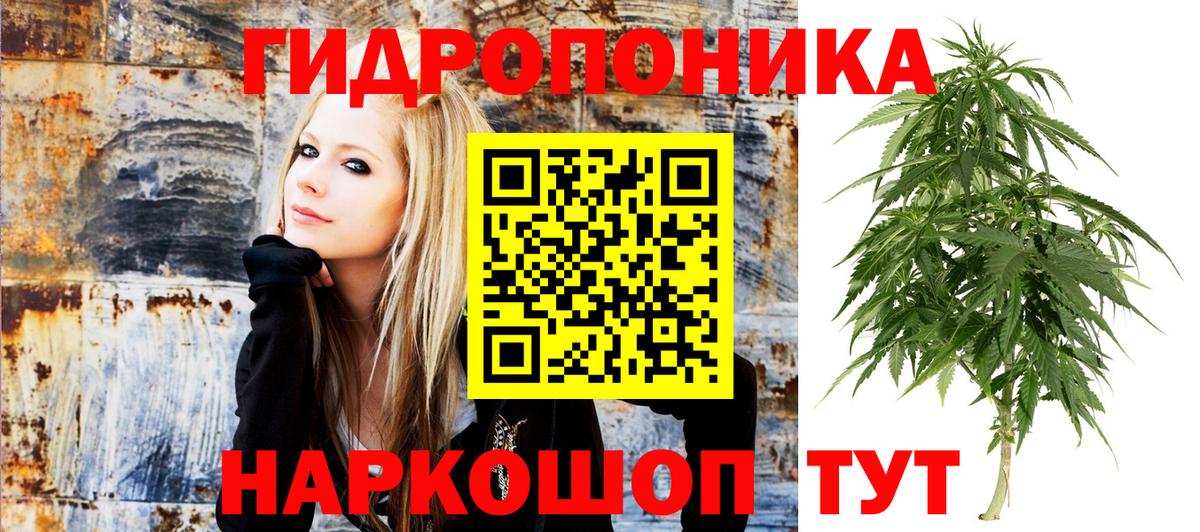 Гусиноозёрск  Марихуана ГИДРОПОН  МАРИХУАНА THC 21%  Вход с VPN  МАРИХУАНА SATIVA & INDICA 